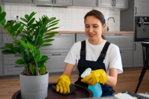 Professional House Cleaners in Adelaide for a Spotless and Fresh Home